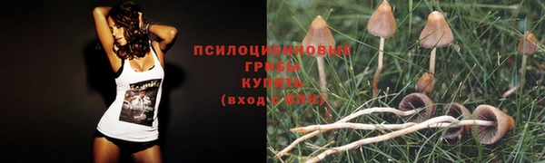 ALPHA PVP Богданович